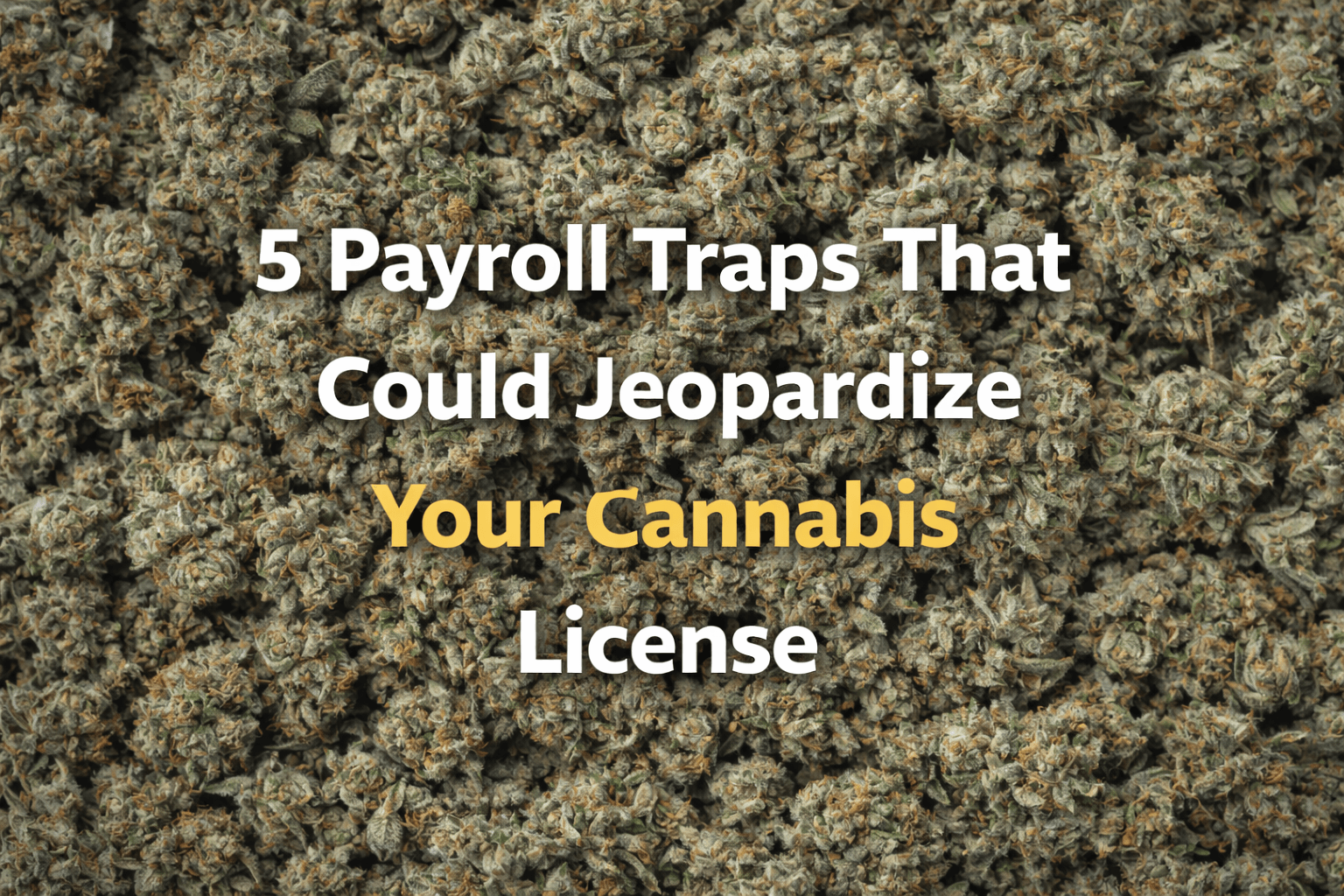 5-Payroll-Traps-That-Could-Jeopardize-Your-Cannabis-License