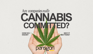 cannabis-committed