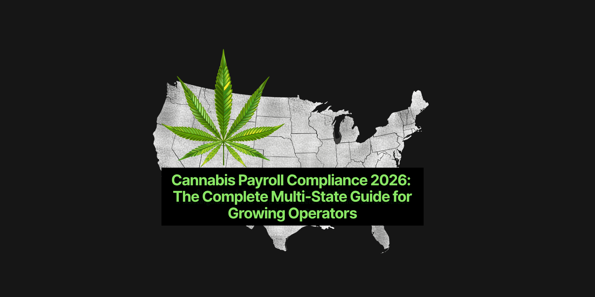 Cannabis-Payroll-Compliance-2026-Operator-Multi-Starte