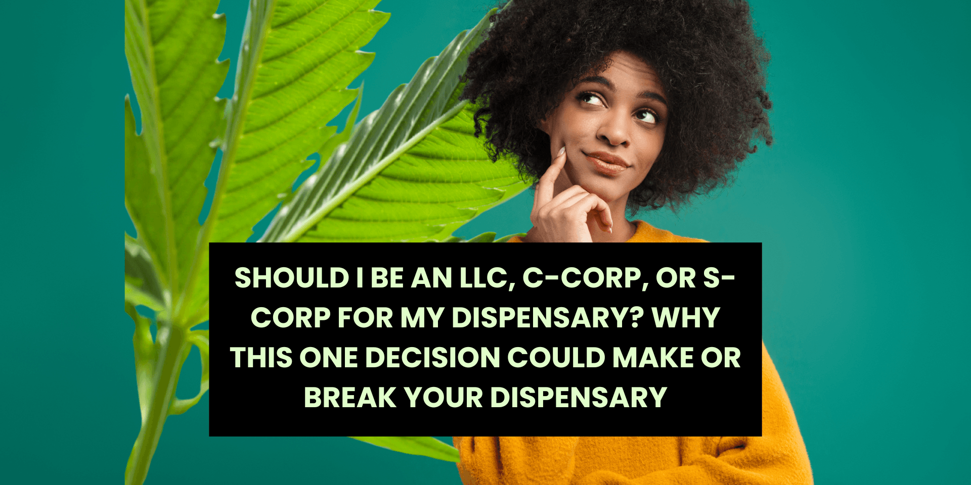 Should I be an LLC, CCorp, or SCorp for My Dispensary? Why This One