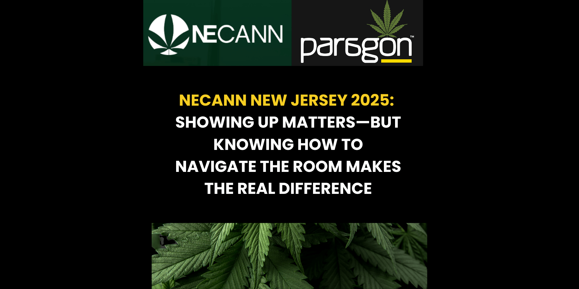 NECANN