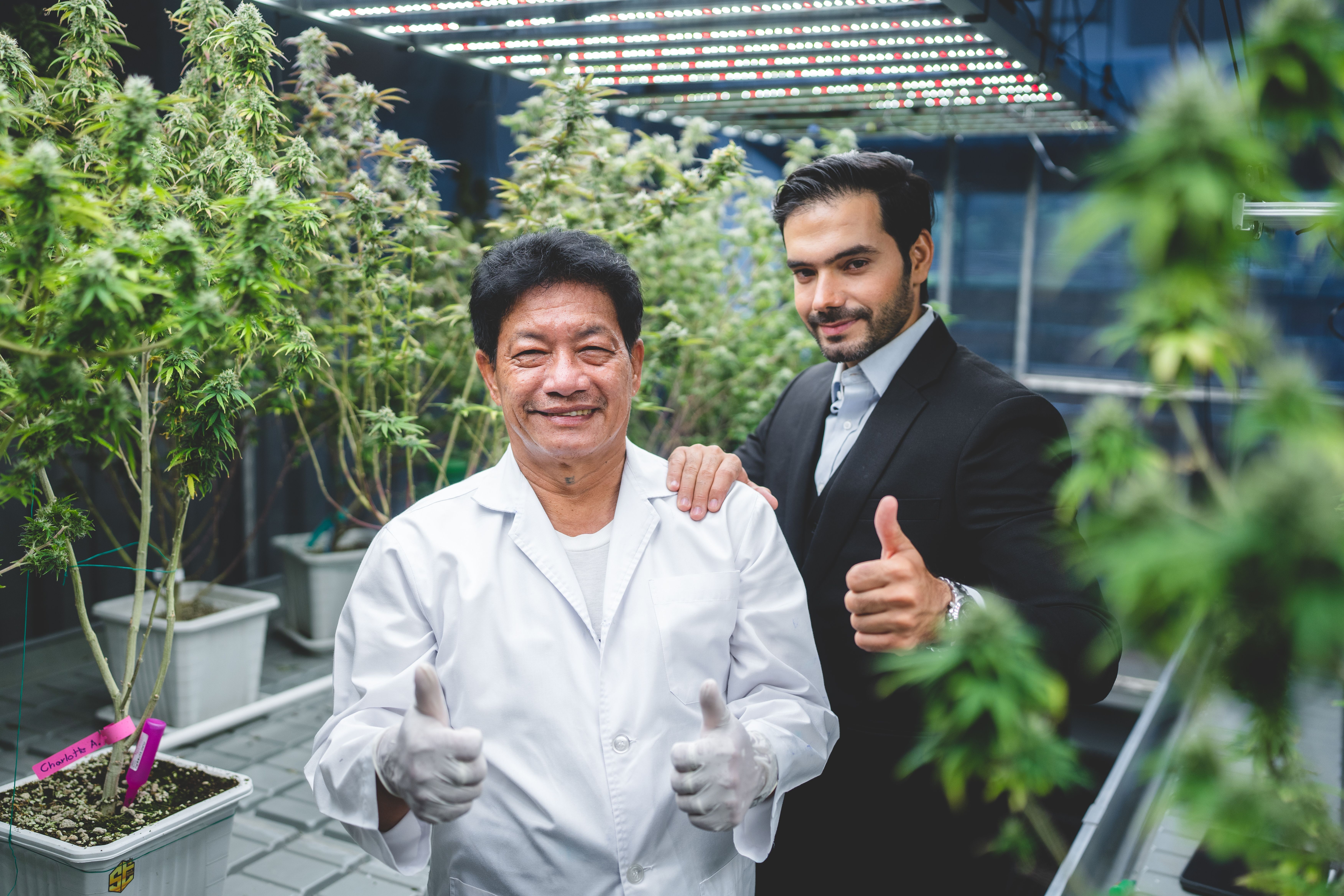business-owner-person-of-cannabis-cultivation-farm-2025-03-27-01-55-59-utc