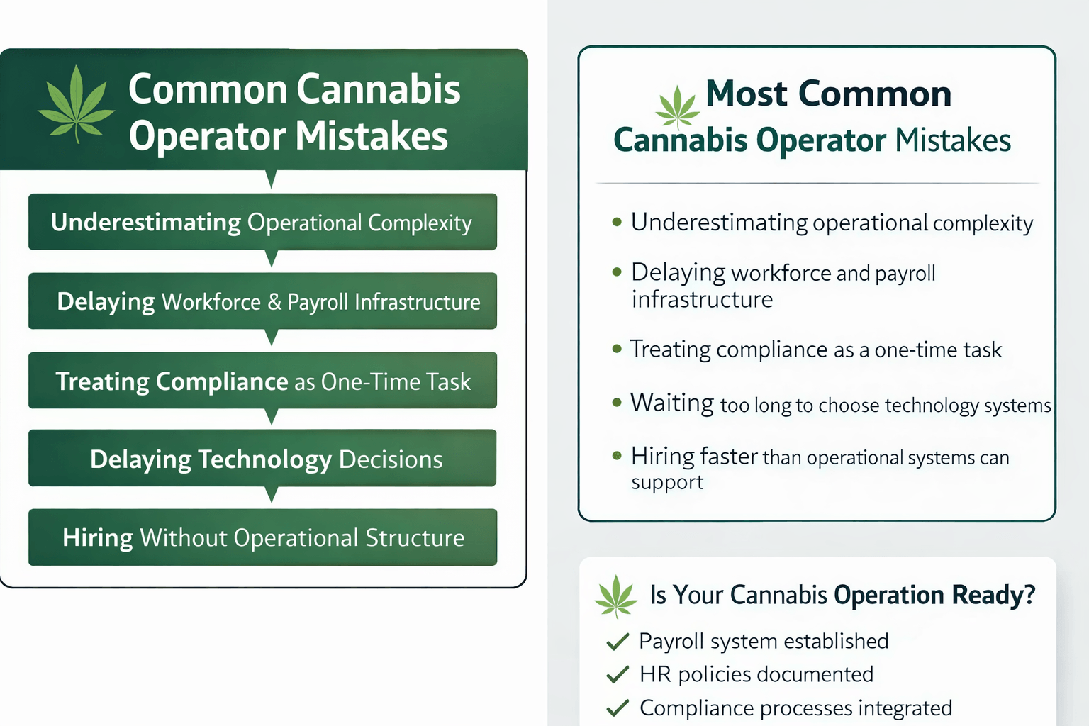 cannabis-operation-blog-infographic