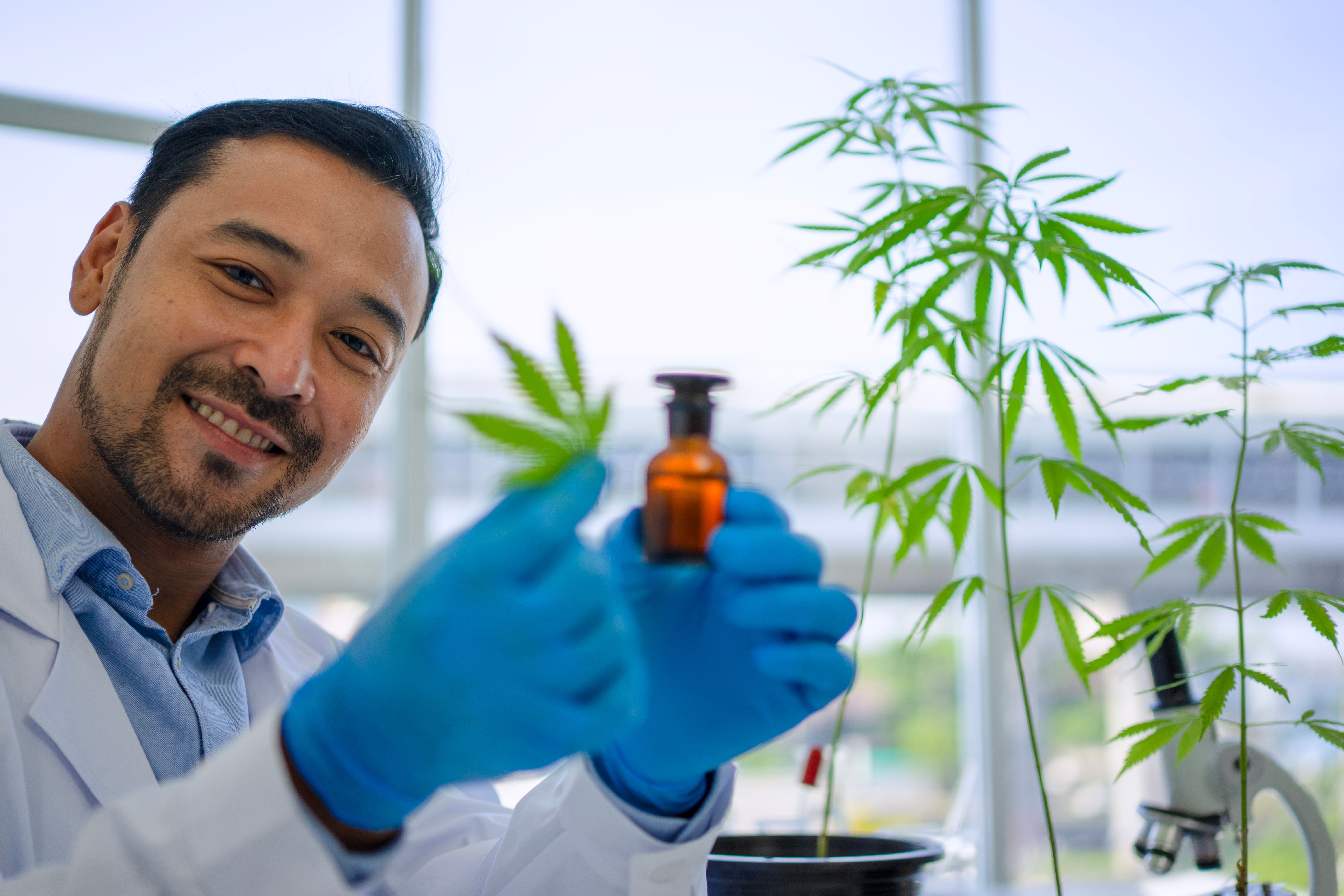 hemp-employee